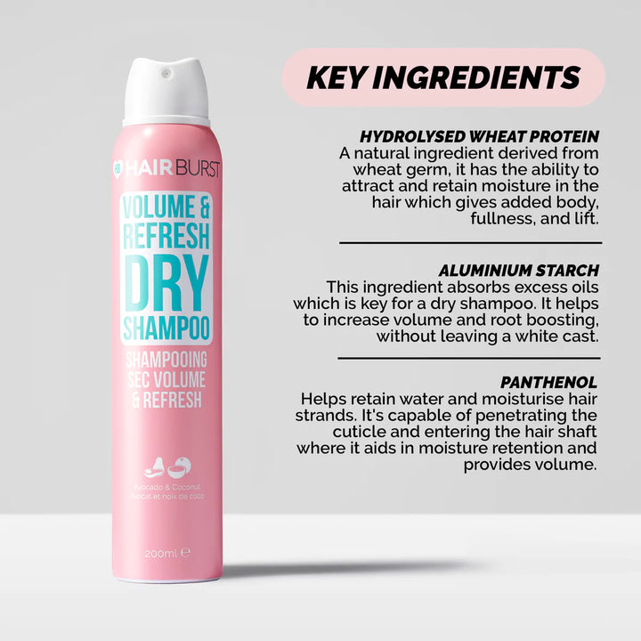 Volume & Refresh Dry Shampoo